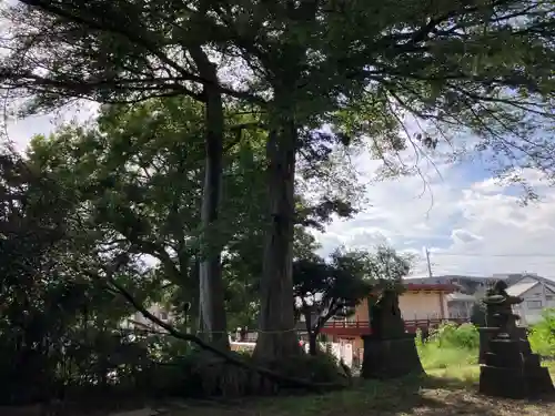 氷川台氷川神社(東京都)