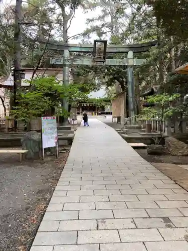 平塚八幡宮(神奈川県)