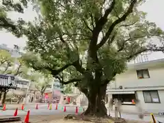 難波神社の芸術