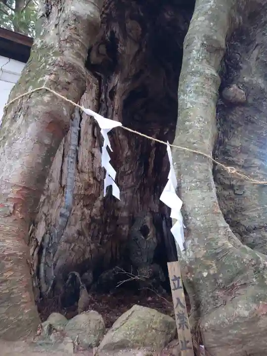 黒沼神社(福島県)