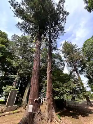 東蕗田天満社の自然