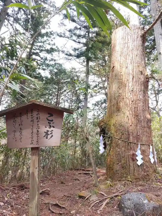 本宮神社(日光二荒山神社別宮)(栃木県)