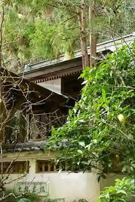 若宮八幡宮(高知県)