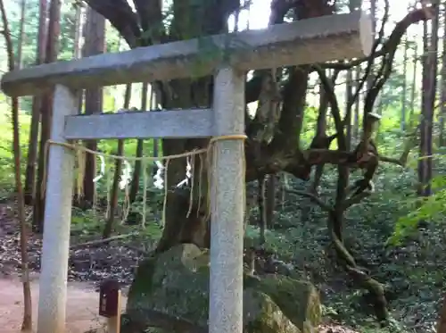 眞名井神社（籠神社奥宮）(京都府)