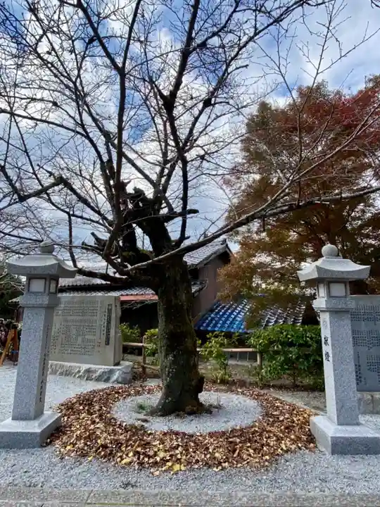 出雲大神宮の自然