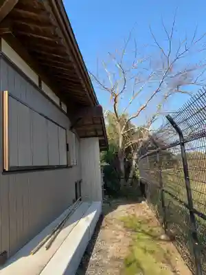 大國主神社の本殿・本堂