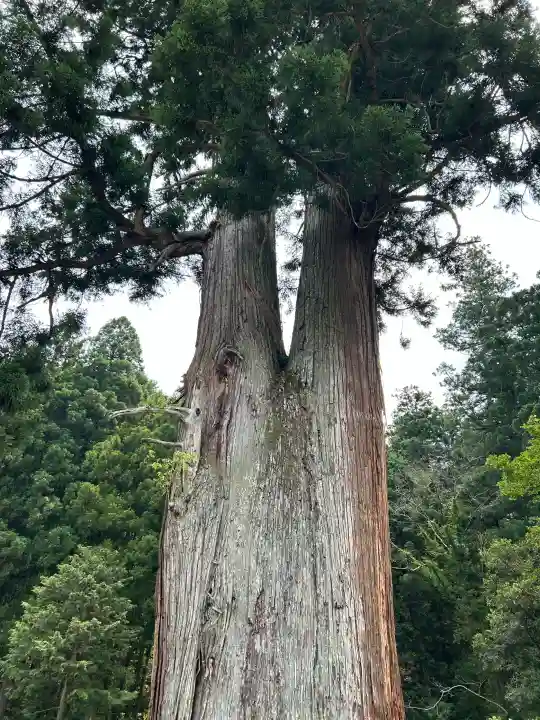 室生龍穴神社(奈良県)