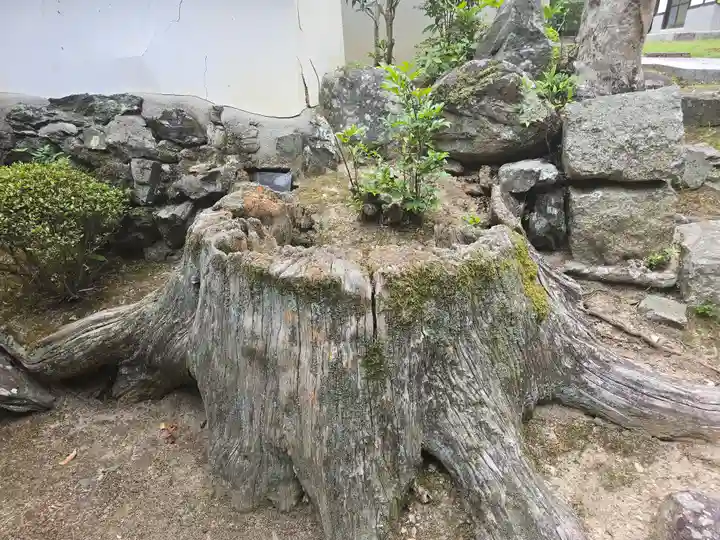 東禅院(京都府)