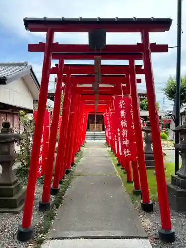 於菊稲荷神社(群馬県)