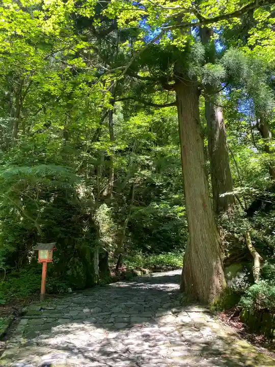 大神山神社奥宮(鳥取県)