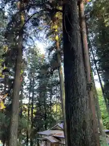 大宮温泉神社(栃木県)(2023年05月10日(水) 07時52分56秒投稿)