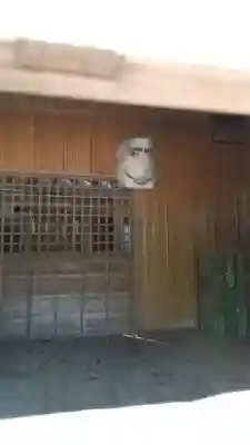 鹿島神社(茨城県)