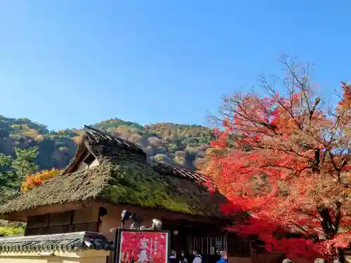 宝厳院の景色