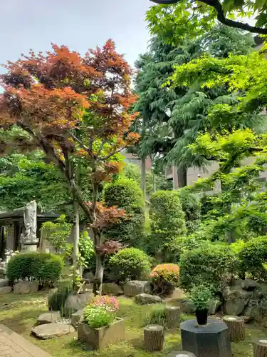 金地院の庭園