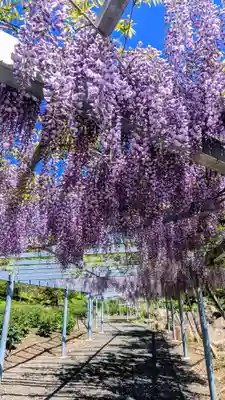 金蛇水神社(宮城県)
