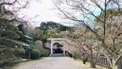 安房神社(千葉県)