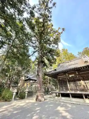 竹田神社(滋賀県)