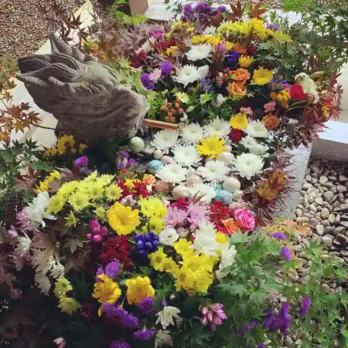 滑川神社 - 仕事と子どもの守り神の手水舎
