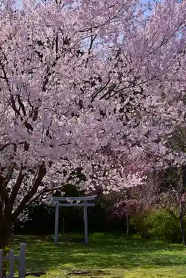 彌彦神社(新潟県)