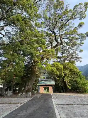 宇佐八幡神社(徳島県)
