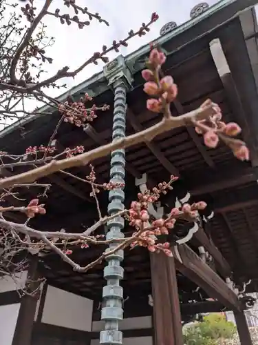 心行寺(東京都)