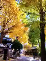 小野照崎神社(東京都)