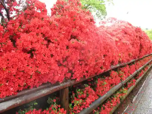 長岡天満宮の自然