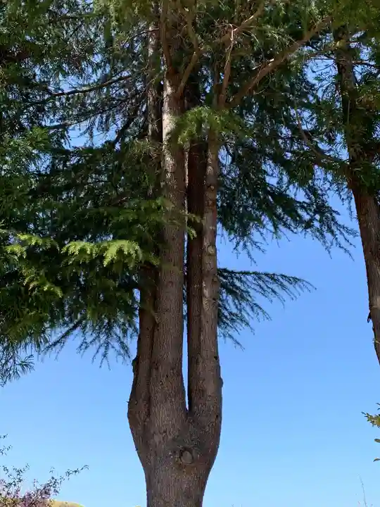 嚴島神社の自然