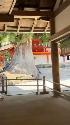 春日大社(奈良県)