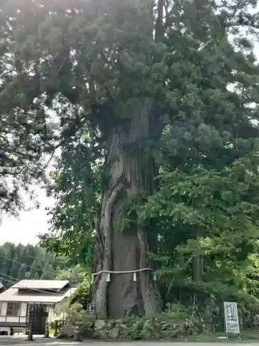 戸隠神社中社(長野県)