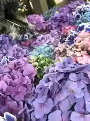 彌都加伎神社の手水