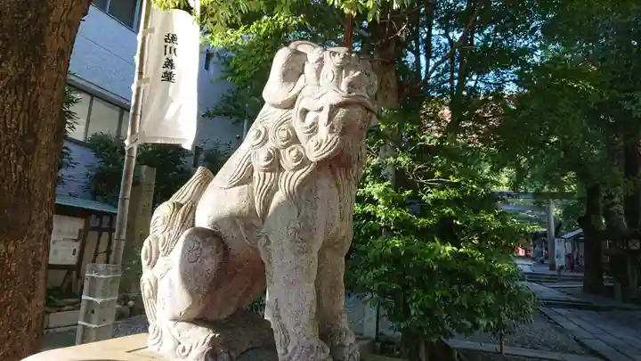 洲嵜神社の狛犬