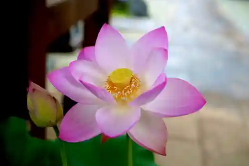 法源寺(山梨県)