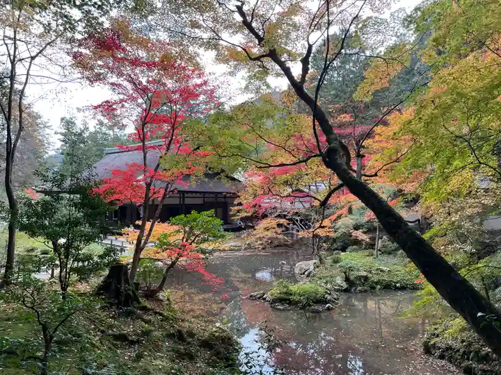 南禅院(京都府)