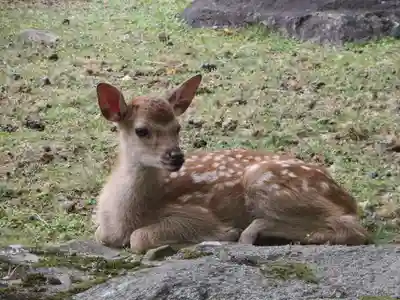 興福寺(奈良県)