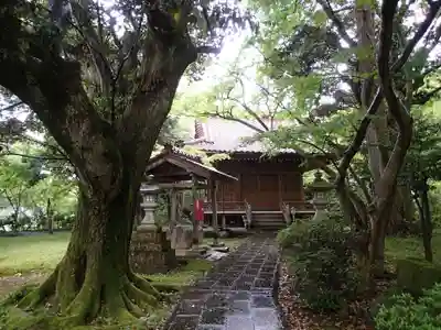 大堰神社の本殿・本堂