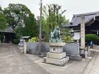 川之江八幡神社の狛犬