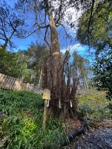 貴船神社結社(京都府)