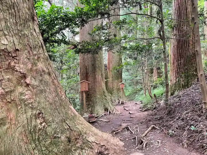幣立神宮(熊本県)