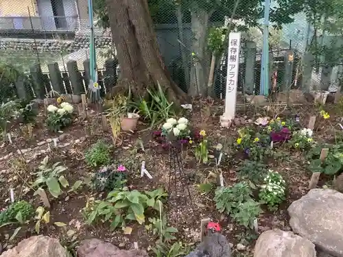 川原神社の自然