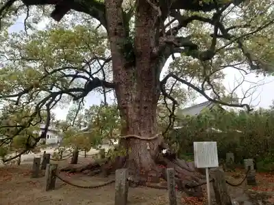白鳥神社(香川県)