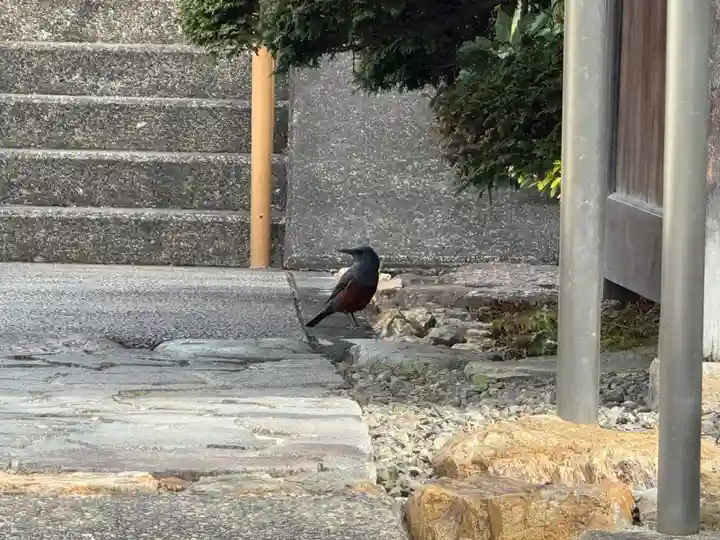 西方山極楽寺(岐阜県)