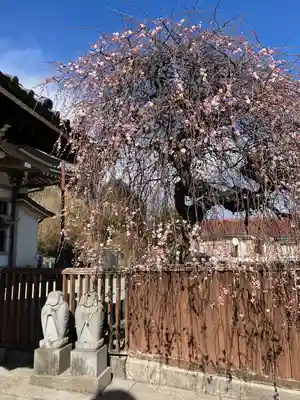 金剛院(神奈川県)