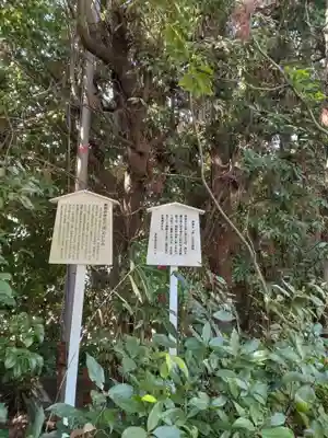新熊野神社(京都府)