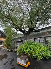 廣田神社～病厄除守護神～(青森県)