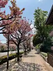 金剛院(東京都)