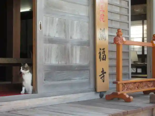 満福寺のその他建物