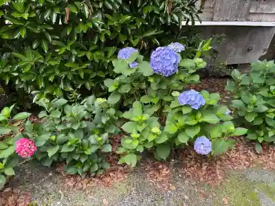 美奈宜神社(福岡県)