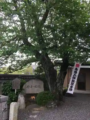 大智院（清水寺大智院）のその他建物