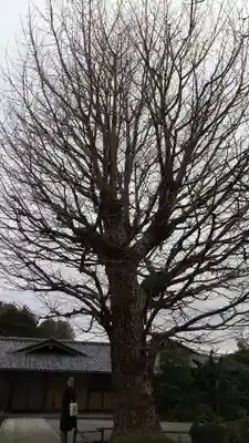 高円寺の末社・摂社